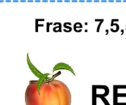 Rebus 1-2