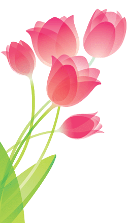 fiori