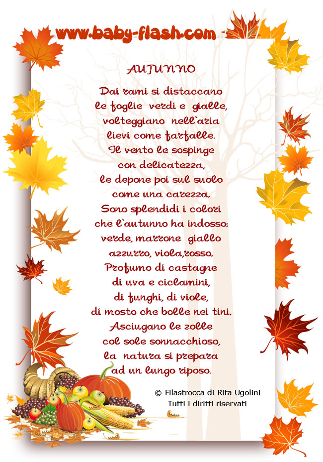 Autunno Baby Flash