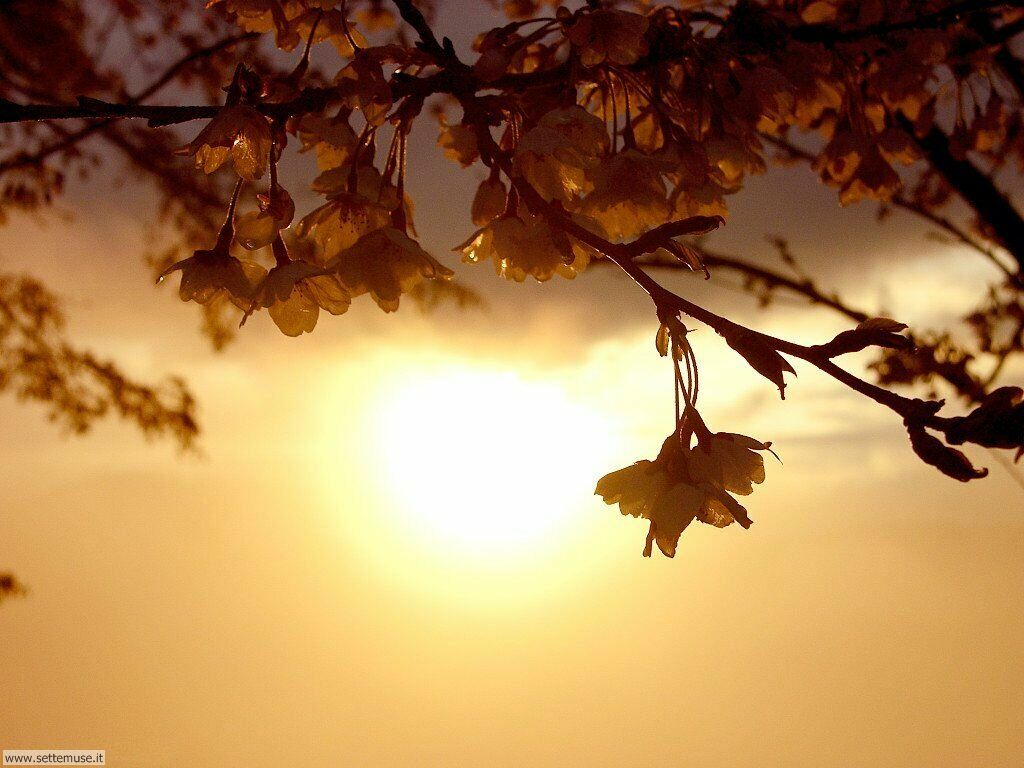 stagione_primavera_059