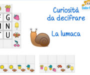Curiosità da decifrare