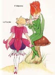 La Fucsia e il Tulipano