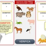 Animali mammiferi e ovipari