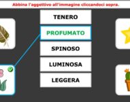 Abbina gli aggettivi alle immagini (intro)